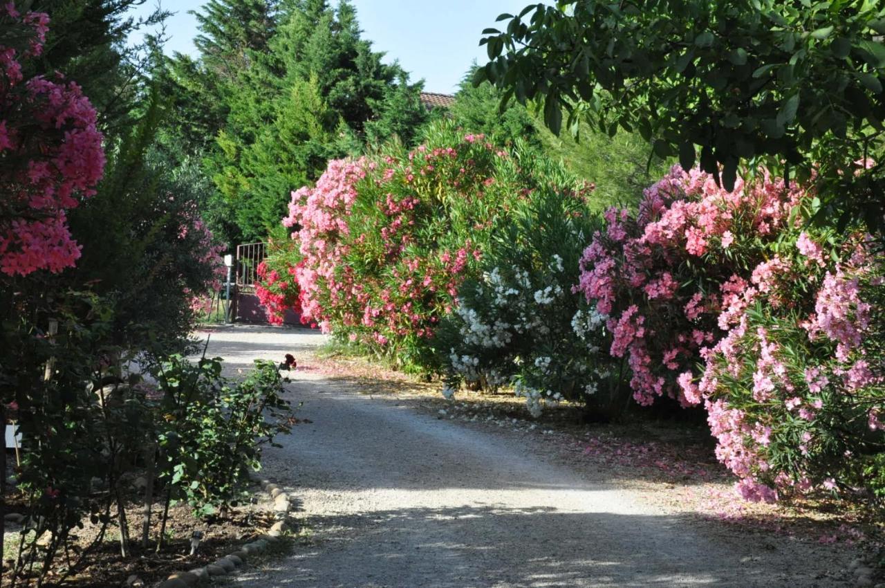 La Ferme De Tonton Jules Et Mame Julia Bed & Breakfast Entraigues-sur-la-Sorgue Екстериор снимка